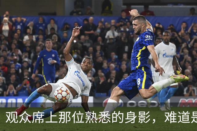 观众席上那位熟悉的身影，难道是锡伯杜回来了？